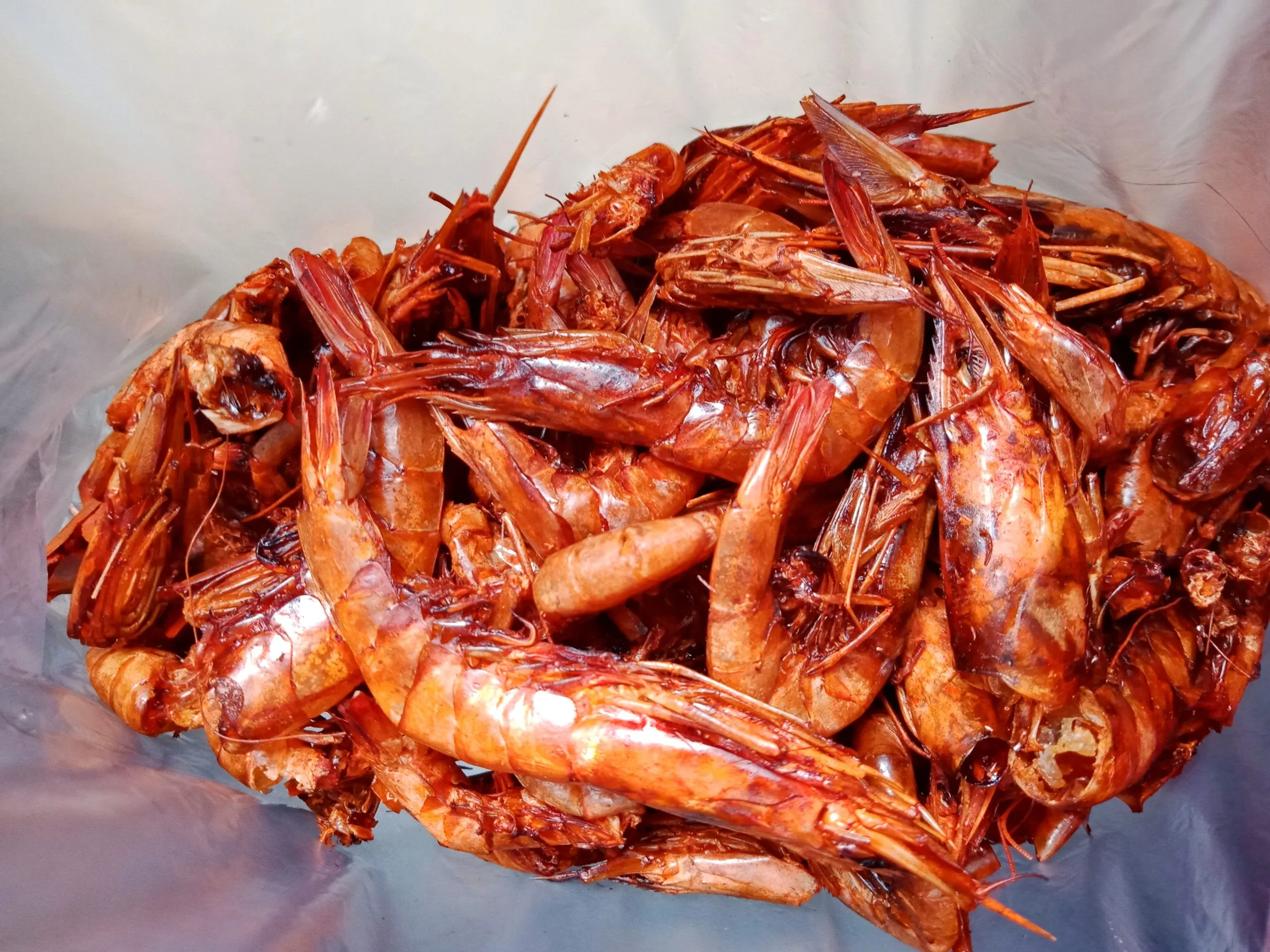 Red Prawn - Image 3